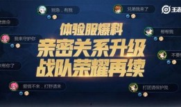 核心体验服最新爆料,揭秘游戏全新玩法与神秘更新内容